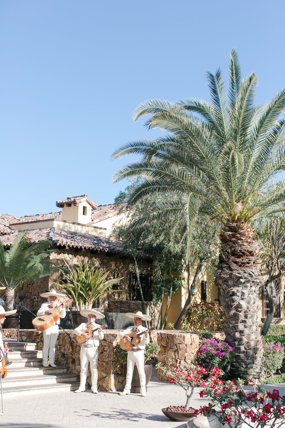 Mariachi band performing outdoors, dressed in traditional white outfits with wide-brimmed hats, surrounded by palm trees and colorful flowering plants in front of a rustic stone building.
