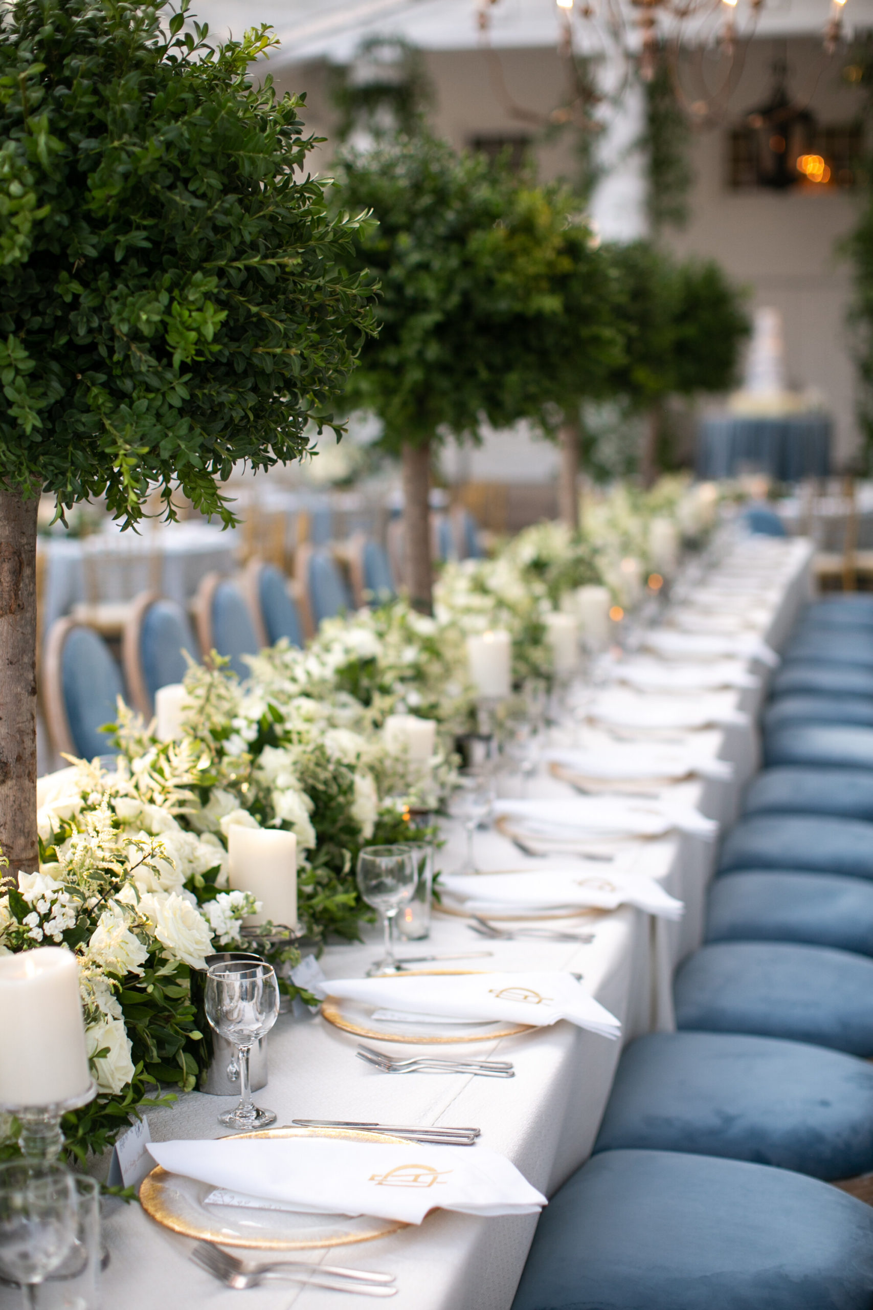Reception Inspiration - Classic & Timeless & Romantic