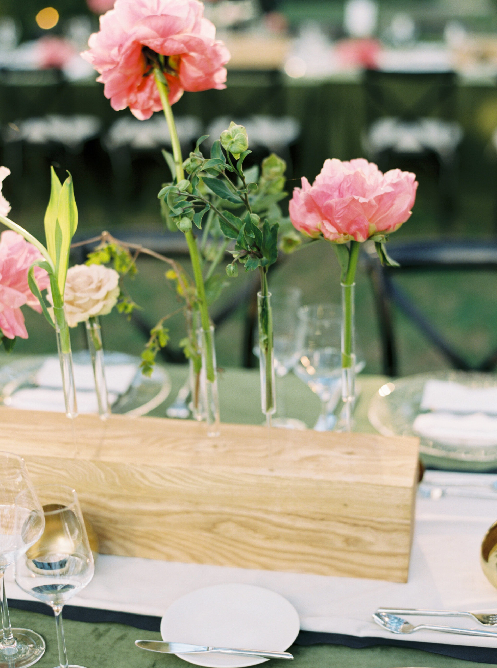 Color Palette Inspiration