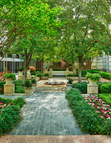 Hotel Crescent Court - Possible Location